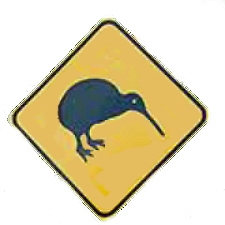 kiwi